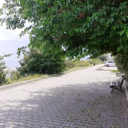 Apartman Xenia *