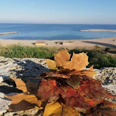 Xenia アパート *